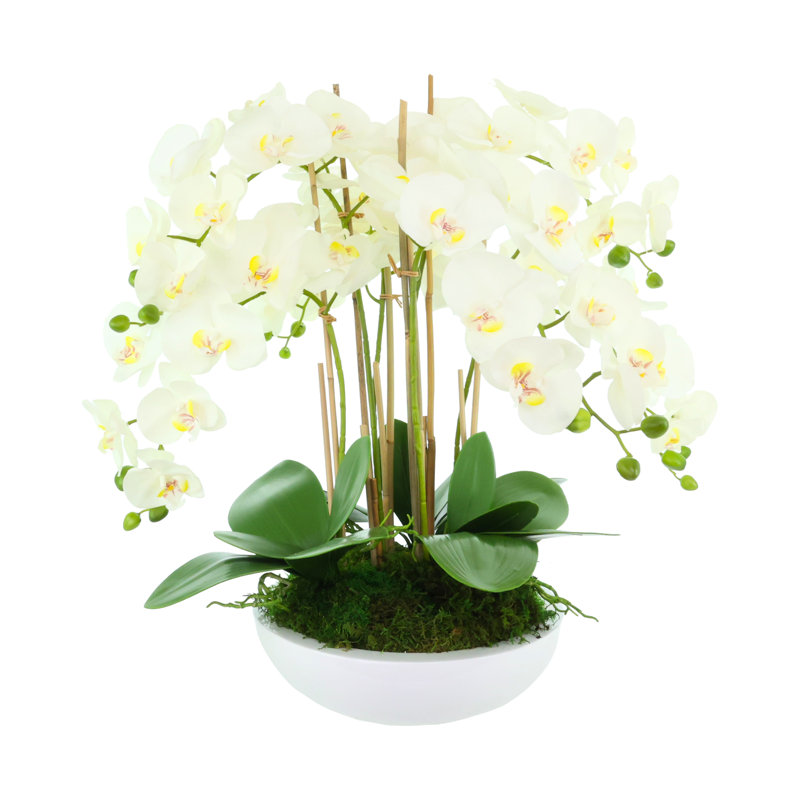 Orchid Arrangement in Round Fiberstone Pot, 27"H x 26"W x 26"D