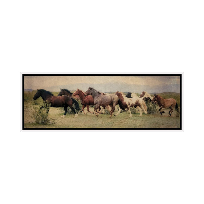 A Run Through The Desert by Rhonda Thompson - Floater Frame Panoramic Print on Canvas, 121.92 cm H x 40.64 cm W