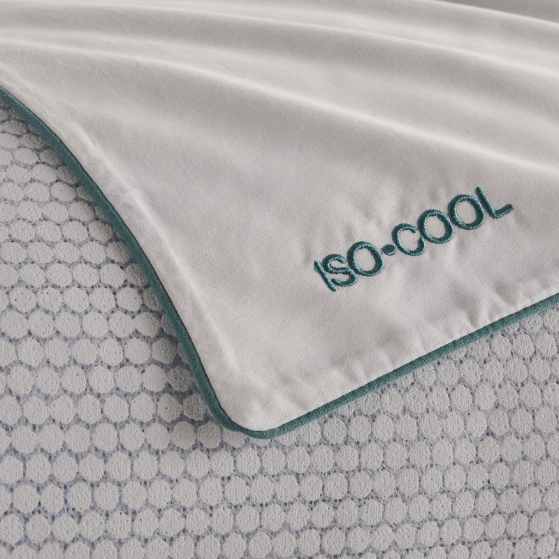 Coussin moyen, Standard