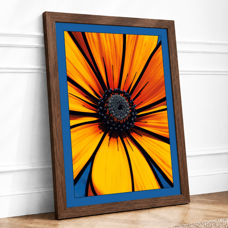 Radiant Daisy Botanical - Framed Print, Walnut, A1 - 84.1 x 59.4 cm