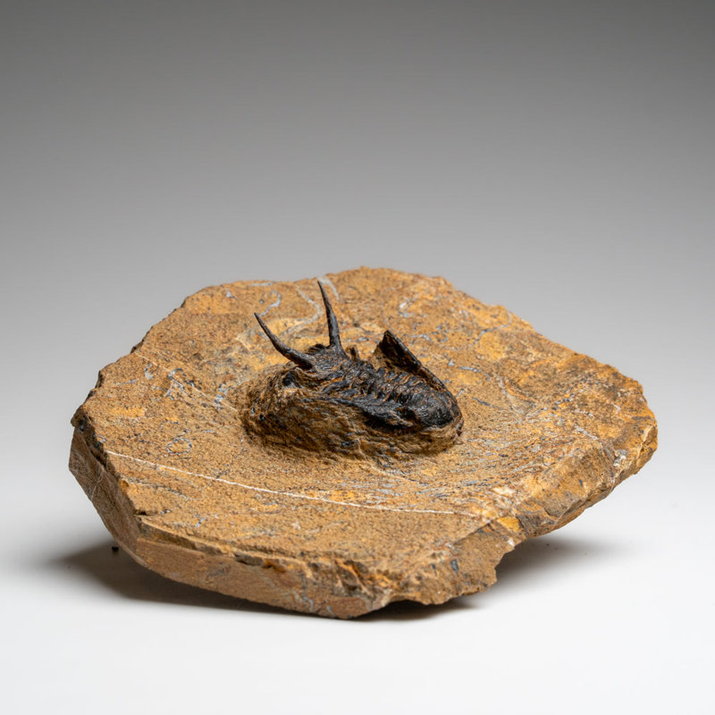 Stone Decorative Object