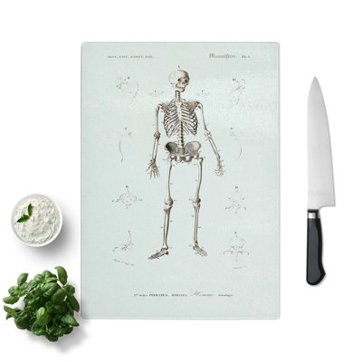 Glass Human Skeleton by Charles D' Orbigny Chopping Board