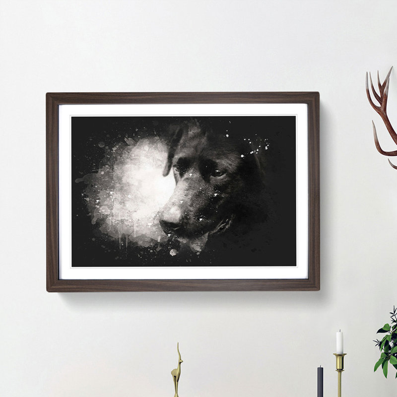 Black Labrador - Picture Frame Painting Print, 33cm H x 45cm W x 2cm D, Walnut Framed