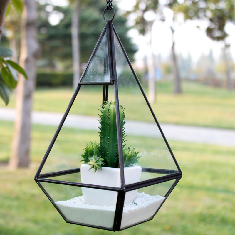 Terrarium en verre à pyramide mince RAF, Noir