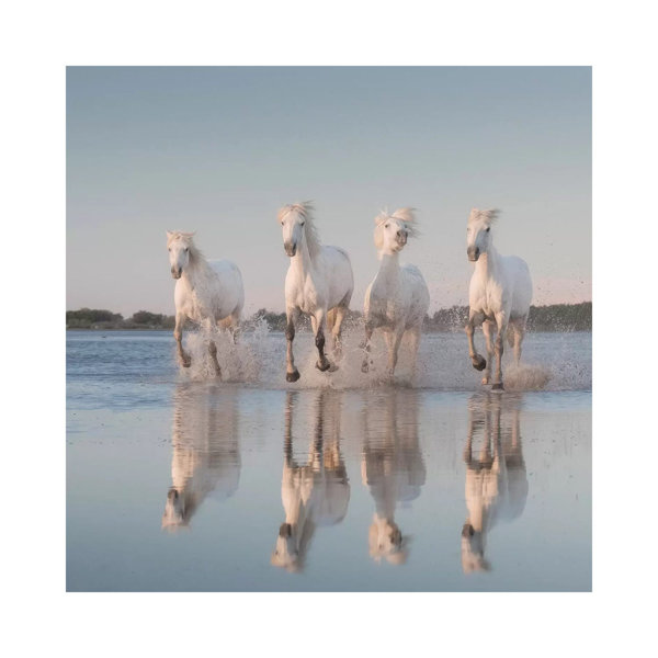 Brambly Cottage White Angels Of Camargue III by Daniel Kordan - Wrapped ...