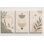 Grande impression abstraite sur toile botanique minimaliste de style bohème à motif de dents de bohème abstrait pour salle de bain spa moderne, impression sur toile 16 x 24 pouces - prête à être accrochée
