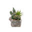 Faux Succulent Plant in Cement Log