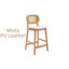 Aliysha Upholstered Counter Stool-1063969371