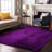 Premium Machine Washable Cerrito AMF554 Purple Rug-104020333