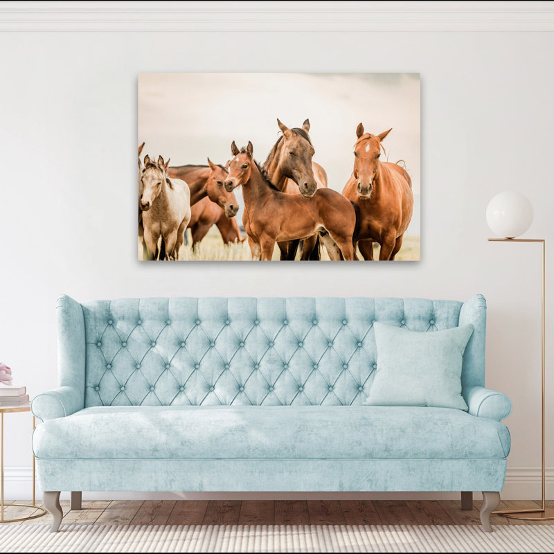 Hartville - photographie, animaux, faune, chevaux, art, H 40 po x l 60 po