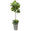 Figuier artificiel 60 po Leiya en pot
