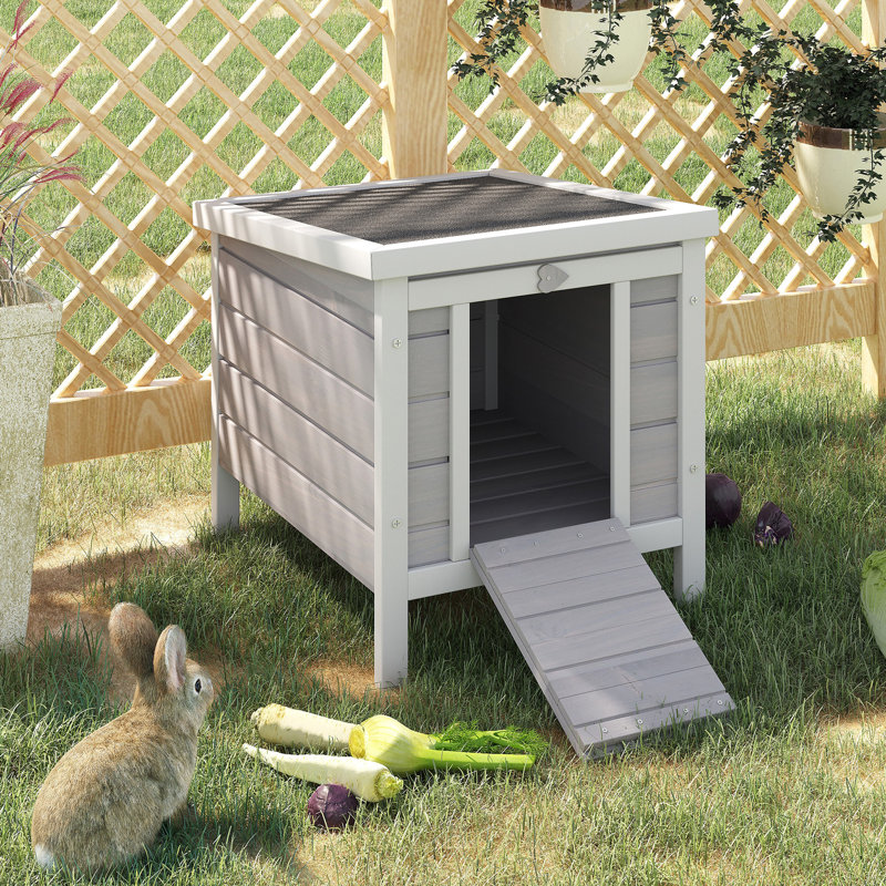 Cochon d'Inde gris en bois avec plateforme surélevée - pour, chiot, lapin
