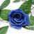 Bleu royal