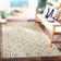 Deedrick Performance Geometric Rug