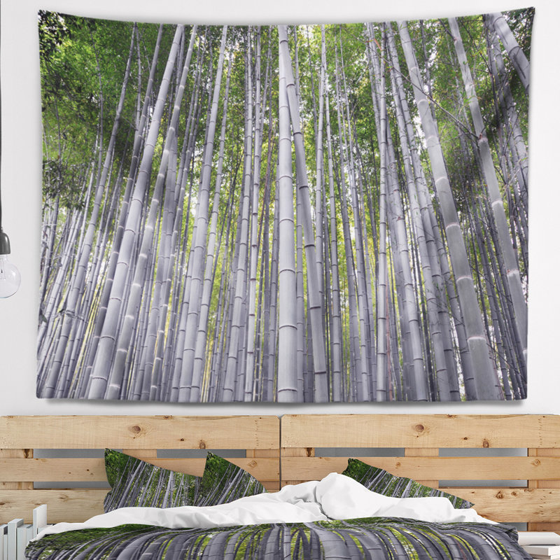 Tapisserie de forêt dense au bambou au Japon, H 32 po x l 39 po