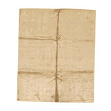 Area Rug in Beige