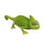 Statue chameleon