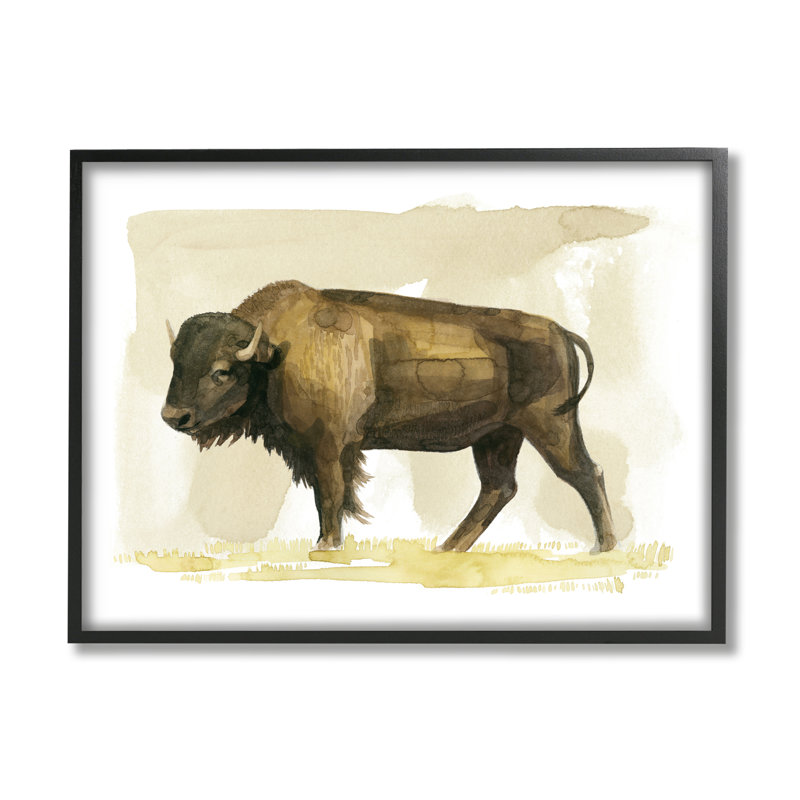 Bison, animal de campagne, aquarelle, Giclée encadrée noir minuit, H 11 po x l 14 po x P 1,5 po