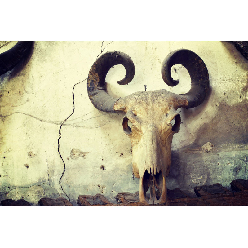 Wrapped Canvas Print, 30 cm H x 45 cm W x 3.81 cm D