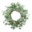 D23,6 po, couronne d'eucalyptus, vert
