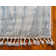 Mitzy Ikat Indoor Rug