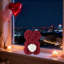 Jour de l'ours en plaques Ours rose-656319228