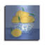 Art mural luxueux en métal «Lemon Still Life» par Farida Zaman, 24 po x 24 po-944059018