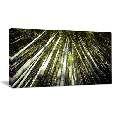 «Long Bamboos in Bamboo Forest», reproduction de photo sur toile tendue