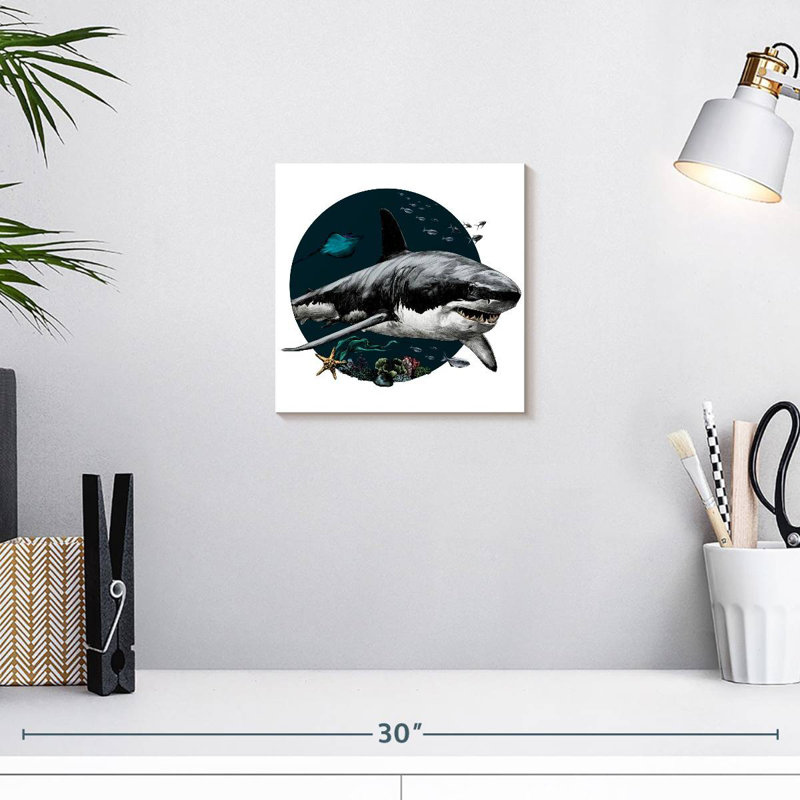 Crowle Gray Shark Illustration, 10" H x 10" W