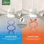 Ventilateur de plafond 52 po avec ensemble d'éclairage DEL et commande murale 52 po-71202521
