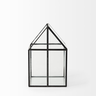 Amarina Clear And Black Glass and Metal Terrarium Box