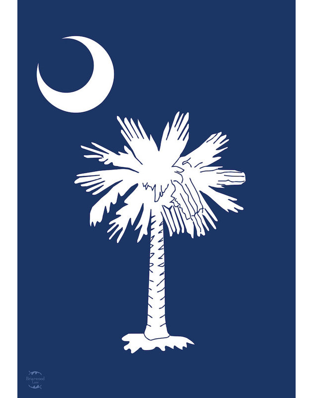Drapeau de South Carolina Palm Tree House