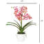 Polysilk Orchid Arrangement In Pot-2030385137-2030385142