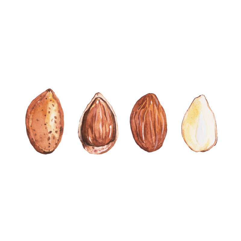 Almonds by L0ngtime - Wrapped Canvas Painting, 30cm H x 30cm W x 3.8cm D