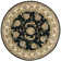 Oberry Silk Oriental Indoor Rug