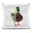 Canard 1