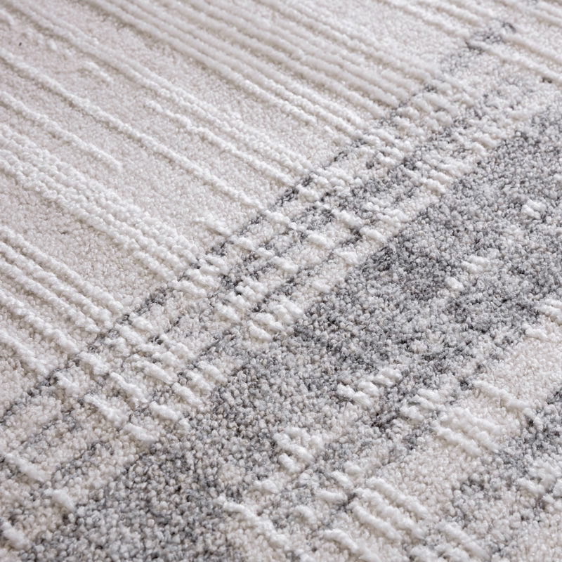 Benyam Abstract Area Rug, Rectangle 200 x 300 cm