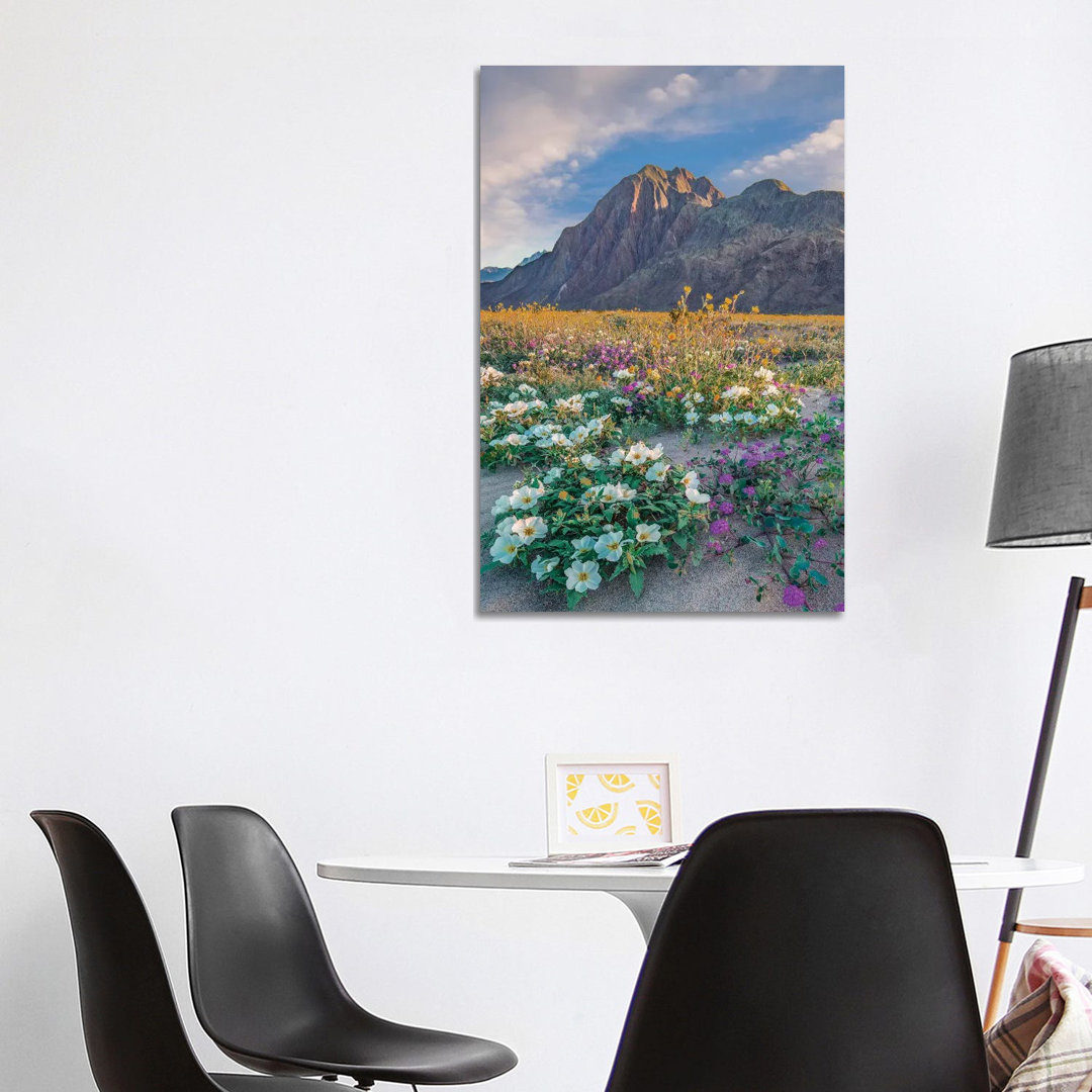 Desert Sand Verbena, Desert Sunflower And Desert Lily Spring Bloom Anza-Borrego Desert State Park CA von Tim Fitzharris ...