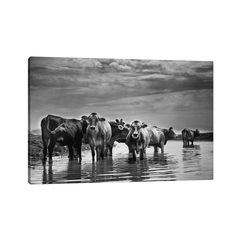 In The River by Aledanda - Wrapped Canvas Print, 20.32 cm H x 30.48 cm W