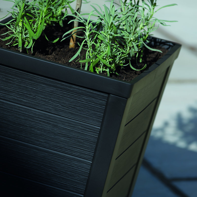 Keter Taper Square Planter 37cm Graphite, 37cm H x 37cm W x 57cm D