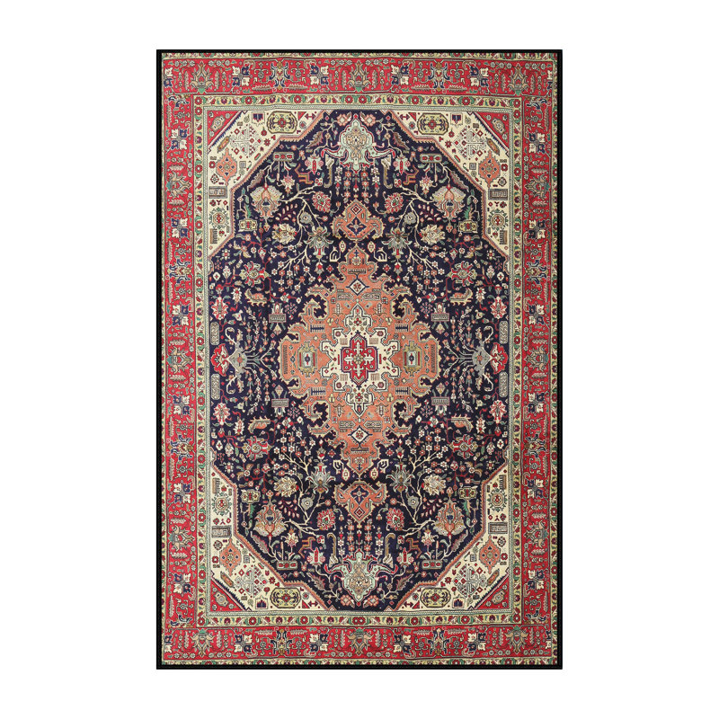 Oriental Indoor Rug, Rectangle 7' x 10'