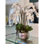 Orchidées blanches dans un pot argent artisanal