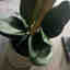 Customer photo 1 of 2