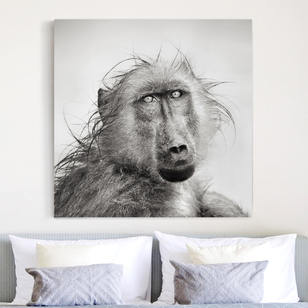 Leinwandbild - Grafikdruck „Crying Baboon”