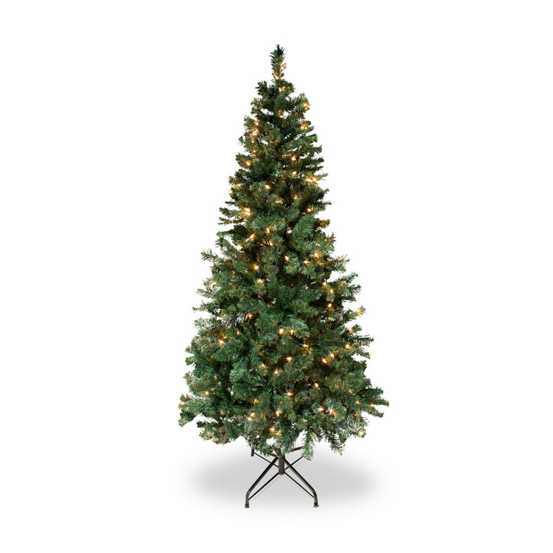 Douglas 72' H Lighted Artificial Christmas Tree