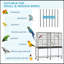 Mangeoire à oiseaux double 65 po avec support roulant amovible, tablette de rangement, perchoir en bois et contenant à nourriture 65 po