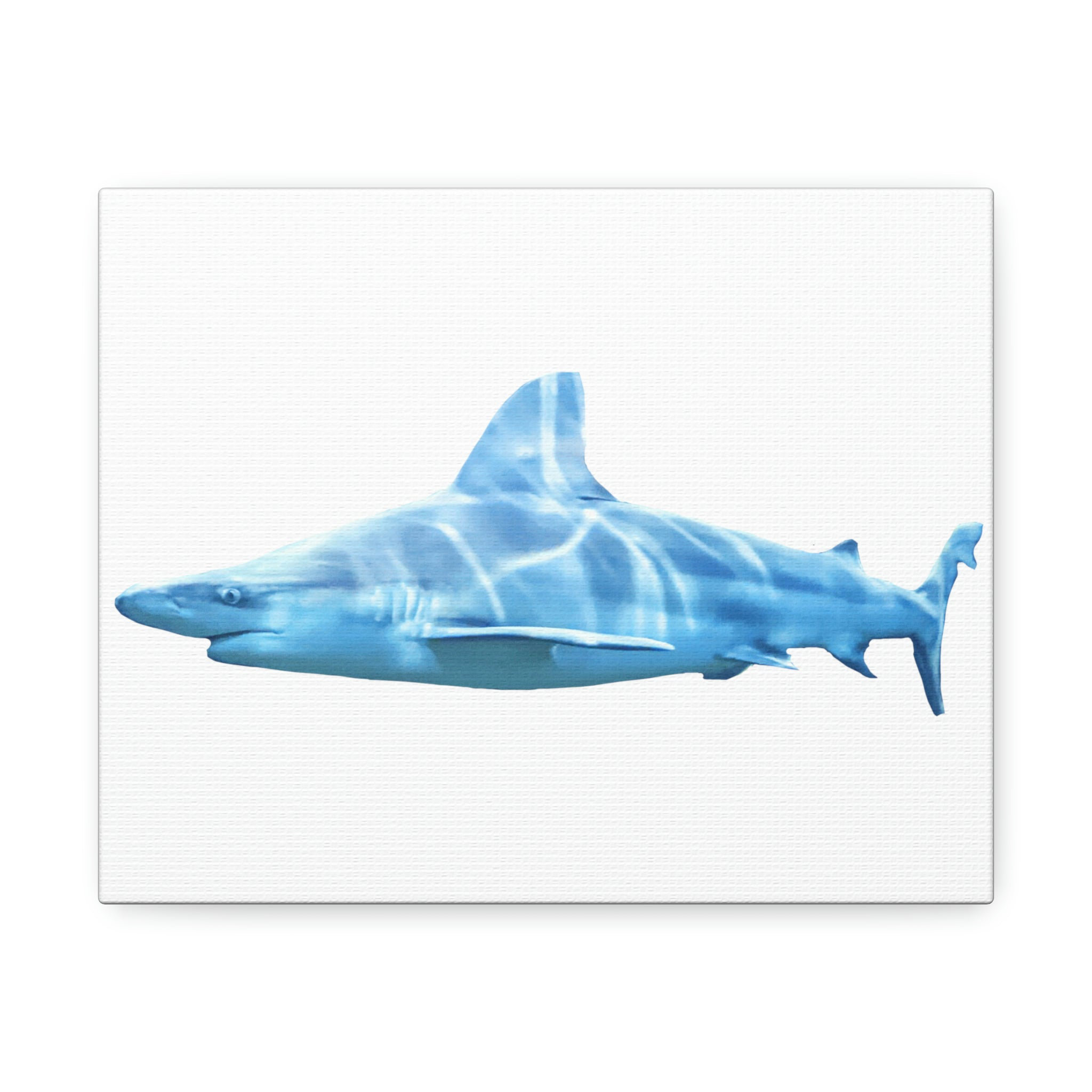 Dovecove Shark On Canvas Illustration Wayfair