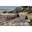 Tapis de plage portatif avec dossier réglable pour adultes SUNJoy (ensemble de 2) - -112535395