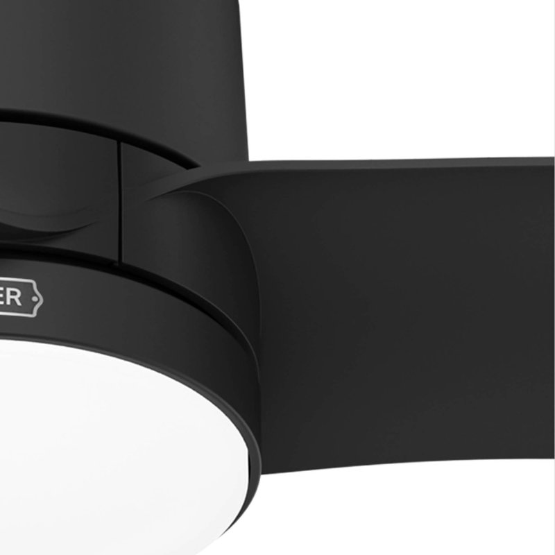 Ventilateur de plafond humide Bolsa de 52 po avec lumières et télécommande Hunter, Noir mat