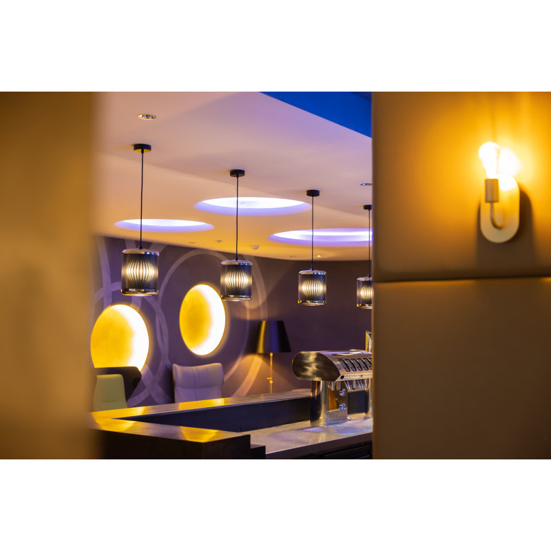 Lambalot 2 - Light Black LED Unusual Pendant, Chrome